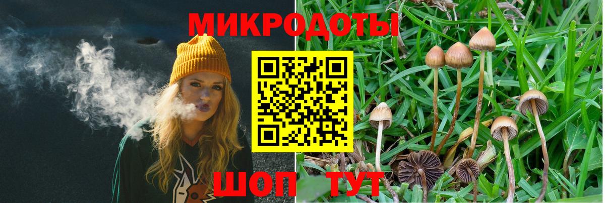 Псилоцибиновые грибы мухоморы  Вход с VPN  Сафоново 
