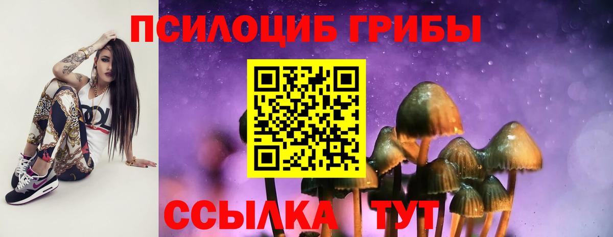 Галлюциногенные грибы Cubensis Сафоново